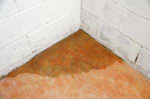 Nasse Wände oder Böden im Keller sind weit verbreitet und können viele verschiedene Ursachen haben.